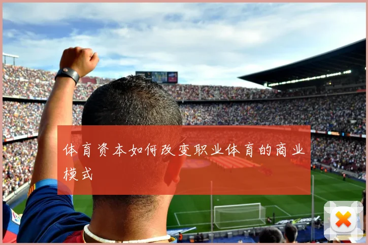 体育资本如何改变职业体育的商业模式