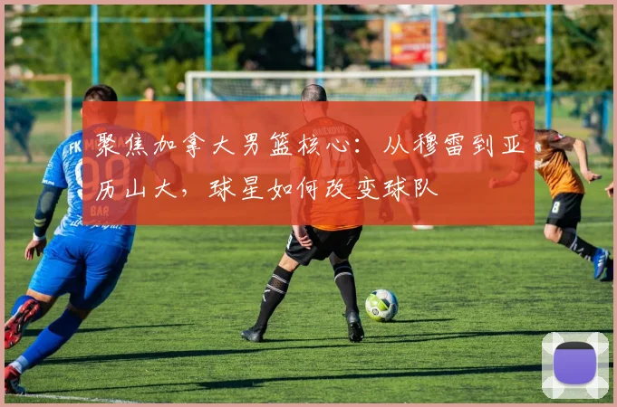 聚焦加拿大男篮核心：从穆雷到亚历山大，球星如何改变球队